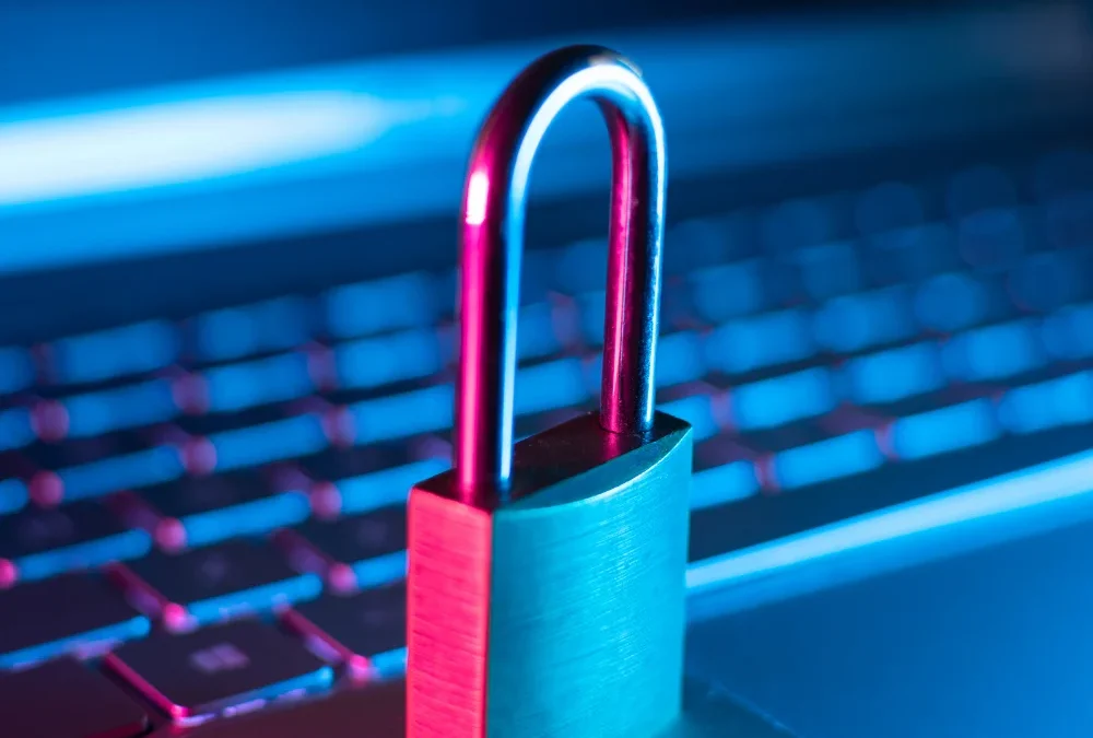 La importancia de la seguridad de datos en ONG